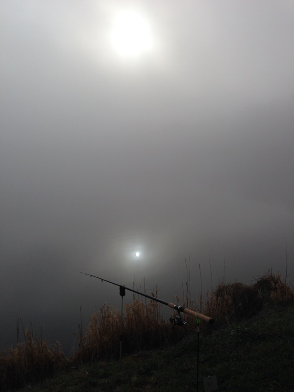 ASV Nistertal Emmerichenhain 1969 e.V.