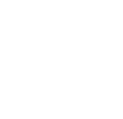 eine weiße Schwalbe vom Webdesigner